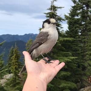 Meet your Posher, Monica